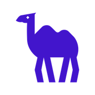 CAMEL 标志